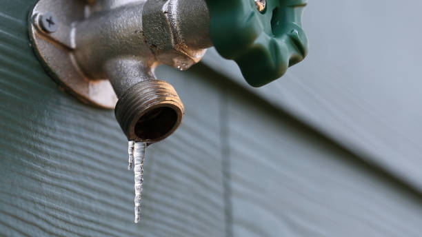 Best Clogged Drain Plumber  in Trappe, MD
