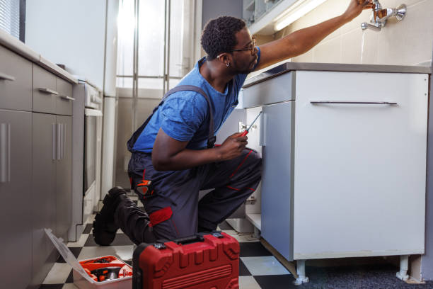 Best Plumbing Services Near Me  in Trappe, MD